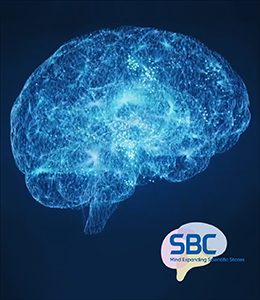 neural coupling